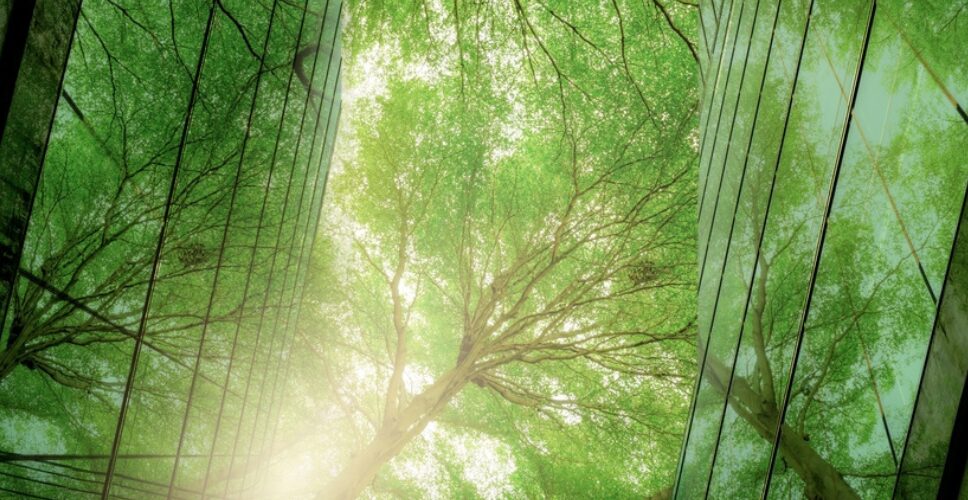 B Corp Q&A with Fiona Moore, ECI’s Head of ESG - Header Image